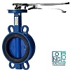 Затвор дисковый поворотный чугунный межфланцевый с чугунным диском манжета EPDM с рукояткой Benarmo Ду40-300 Ру16 Затвор дисковый поворотный чугунный межфланцевый с чугунным диском манжета EPDM с рукояткой Benarmo Ду40-300 Ру16 Самара